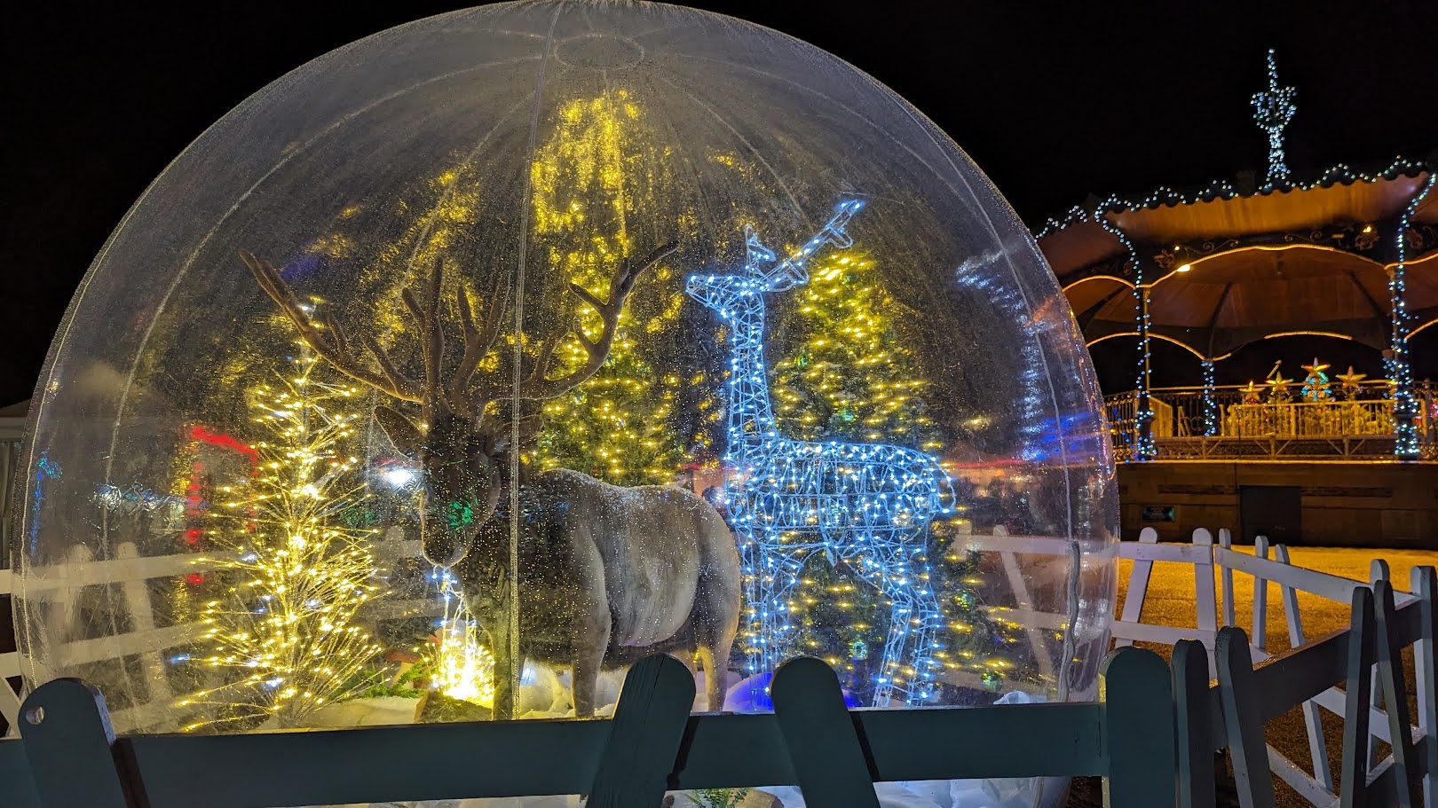Bulle.jpg (428 KB)